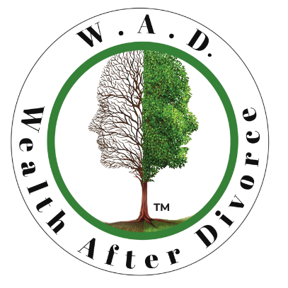 wealthafterdivorcejourney.com